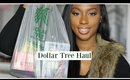 Dollar Tree Haul 2015