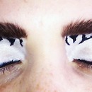 Zebra Eyes
