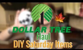 Dollar Tree Haul: DIY Saturday | September 2018