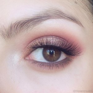 Love warm tone eyeshadows ❤ 🔥 
For more visit @filipaacerqueira