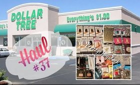 Dollar Tree Haul #37 | LAST  NOV HAUL 2017! | PrettyThingsRock