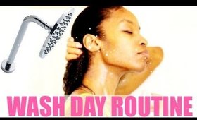 Natural Hair Wash Day Routine