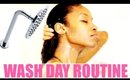 Natural Hair Wash Day Routine