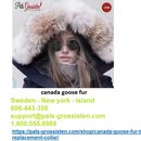 Canada Goose Fur