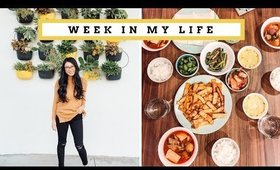WEEK IN MY LIFE | life update chat & girls night!