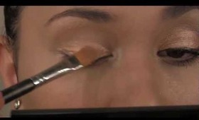 How To: Wet Eyeshadow Application (NOT Foiling Check Downbar)