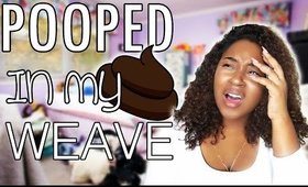 STORYTIME HE POOPED IN MY WEAVE | Trinity Jae