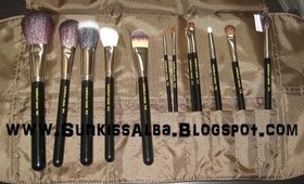 Best Makeup Brushes EVER! bdellium Tools Brush set & Roll