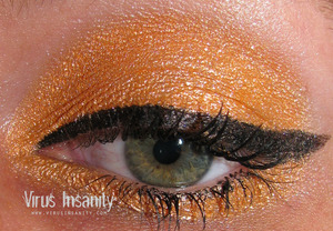 Virus Insanity eyeshadow, Outrageous Orange.

www.virusinsanity.com