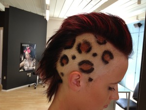 I died my friends hair in a leopard print :-)