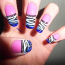 Zebra print on Blue and white french