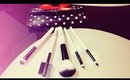 5 Piece Professional Makeup Brush Travel Set From RC Cosmetics