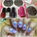 Nail Art..Konad