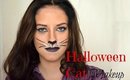 Rýchle Halloweenské líčenie - Mačka / Halloween Cat Makeup