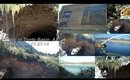 Vlog: Frolicking In Tonto Basin, AZ