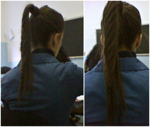 This is a ponitail with a braid in it that my friend Besha was wearing today at school: I think it's amazing!