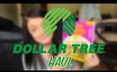 Dollar Tree Haul: Solar Frog, 30$ Cookbooks & New LA Colors Makeup | February 23, 2018