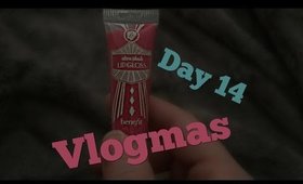 Windchill!!! VLOGMAS Day 14