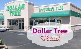 Dollar Tree Haul #7 | March 2017 |  PrettyThingsRock