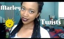 ❀ 6 ❀ Protective Style: Marley Twists