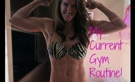 Current Gym Routine