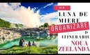 Noua Zeelanda: organizare & itinerariu pentru 3 saptamani