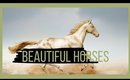 Beautiful horses 2020