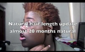 Hair length update 20 months natural