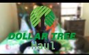 Dollar Tree Haul: Easy Carrot DIY Idea, New Candle & Weird Scrubber | March 10, 2018