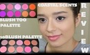 Review: COASTAL SCENTS Blush Too and 10Blush Palette