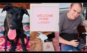 Surprising my Husband with a PUPPY!