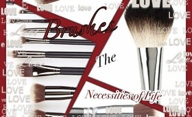 What Brushes Should be in Your Makeup Bag?!?