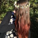 Daisy chain and red ombré 