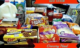 Large Two Week Grocery Haul