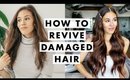 16 Ways to Revive Damaged Hair