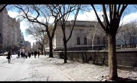 SEE NYC!!  The Metropolitan Museum of Art!!  (The MET)