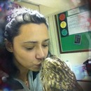 Owl kisses