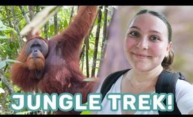 Orangutan Jungle Trek in Bukit Lawang, Sumatra | Travel Vlog