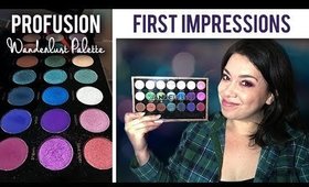 Profusion Cosmetics Wanderlust Palette  |  First Impressions