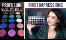 Profusion Cosmetics Wanderlust Palette  |  First Impressions