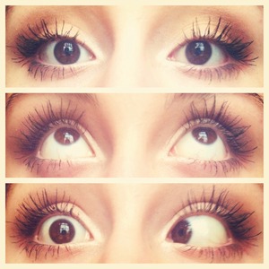 #longeyelashes #browneyes #lashes #makeup #mascara #eyeshadow 