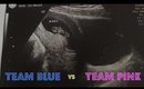 Gender Reveal - Team Blue or Team Pink
