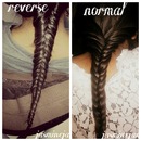 Reversed And Normal Fishtails