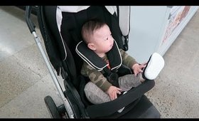 Vlog: Boss Baby | HAUSOFCOLOR