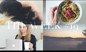 The Week #19 | JessicaBeautician