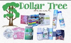 Dollar Tree Haul #8 | Few Essentials, Facemasks, & More | PrettyThingsRock