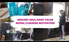 GROCERY HAUL//PAINT COLOR REVEAL//CLEANING MOTIVATION