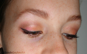 Great eye look inspired by fall leaves with a nice eyeliner