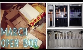Open Box: Affordable Makeup Brushes