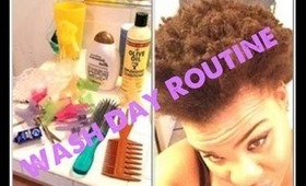 Wash Day Routine on Natural Hair!